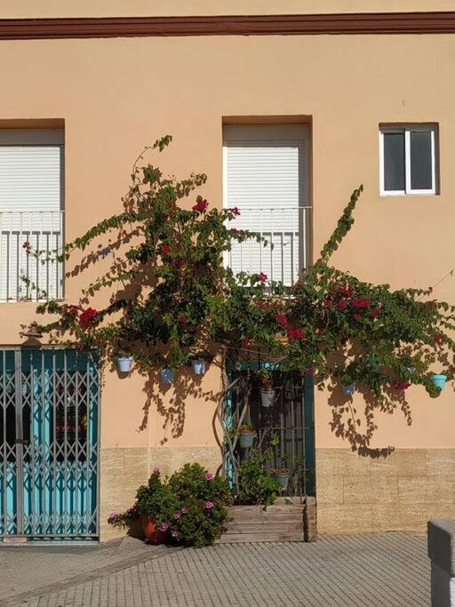 Apartamento Las Canastas Cadiz Centro Eksteriør bilde