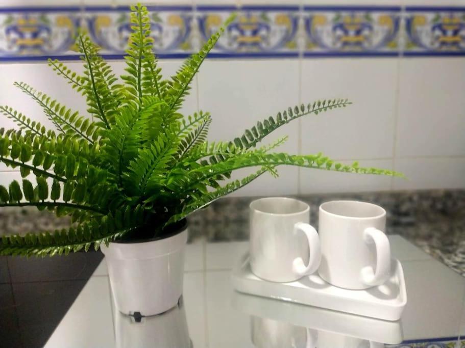 Apartamento Las Canastas Cadiz Centro Eksteriør bilde